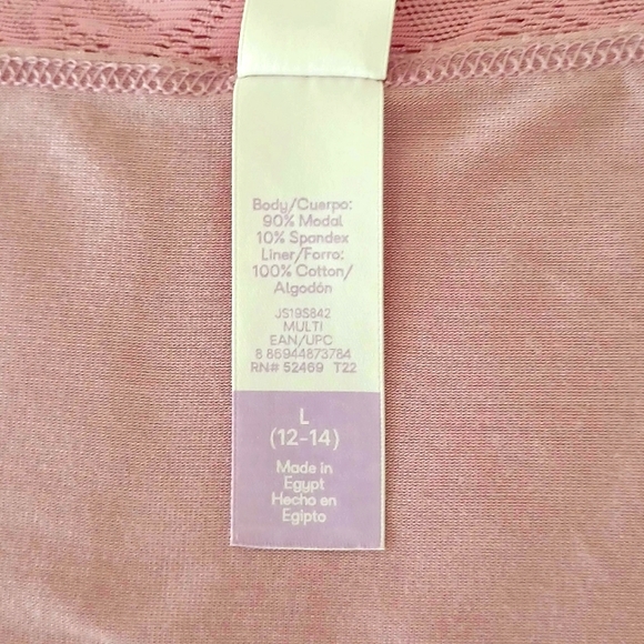 Joyspun Modal Pink Color Panty, L - Picture 6 of 6